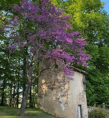 Manoir De Tourville Bed & Breakfast Les Halles